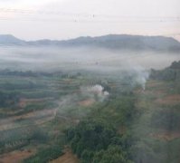 小区外烟雾阵阵  原是有人在焚烧秸秆