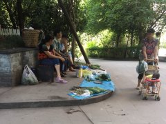 小区坝坝变“菜场” 有人点赞又有人骂