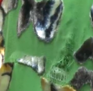 女子花900元定做的旗袍 才穿一次就“破洞百出”