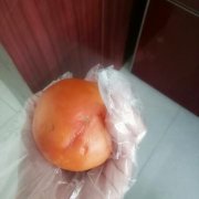 西红柿放置家中半年依旧鲜美多汁  网友：已成精？