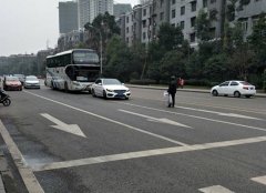 大爷站马路中间拦大巴：“我要搭车”