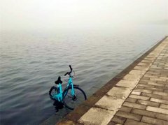 共享单车遭抛弃河边被淹 市民：看着心疼
