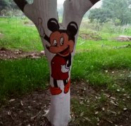 小区树干上满是涂鸦 萌态可掬惹人喜爱