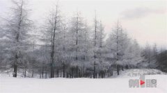 开州雪宝山出现雾凇美景 银装素裹似仙境