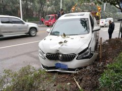 轿车冲上绿化带   车头变“中分”