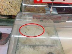 怎么进去的？超市冰糖柜里竟然有苍蝇