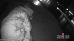 八旬老人满脸是血摔倒隧道中 民警用腿给他当“枕头”