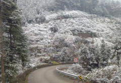 垫江高海拔地区降雪 变身银白世界