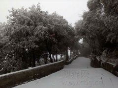 约起！渝北华蓥山雪纷飞