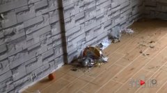 老板留下一堆垃圾跑路了 员工工资没拿到心急如焚