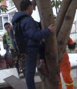 “熊孩子”贪玩爬树  左腿被卡