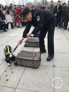 重庆西站超萌警犬亮相 “缉爆”演练引发旅客“围观”