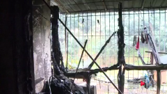 郁闷！男子生日当天家中起火损失十几万