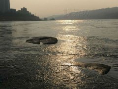 三人江中“看稀奇”   游到江心却回不来了