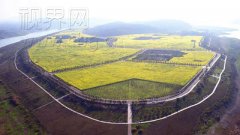 航拍！油菜花盛开的广阳岛