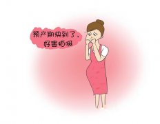 儿媳即将产子 婆子妈要出国游玩