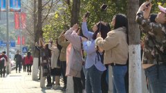 网红轻轨穿楼过 外地游客排队看