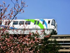 开往春天的列车 一站路看繁花似锦