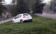 司机低头捡手机 车辆冲上绿化带