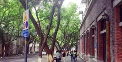 周末去老街 寻觅老重庆的记忆