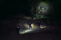 演训现场｜暗夜砺刃！夜间复杂环境搜捕实战淬炼硬核战力